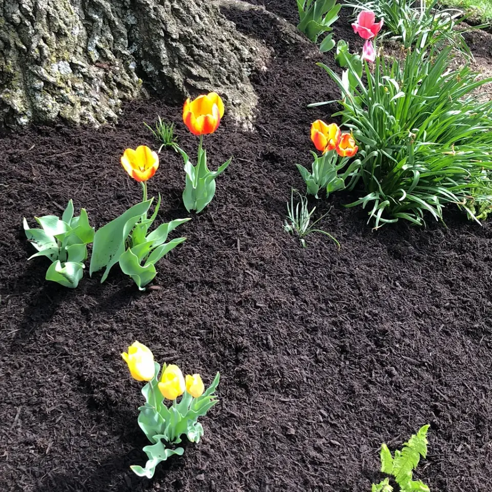 Two Friends Landscaping project 3