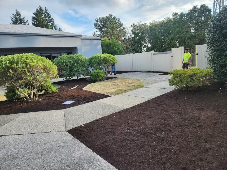 Two Friends Landscaping project 1
