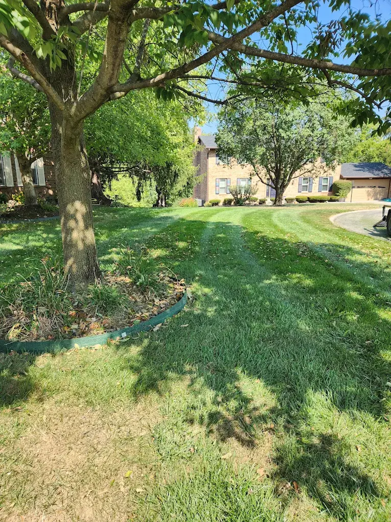 Two Friends Landscaping project 4