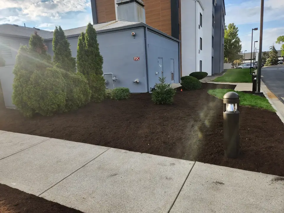 Two Friends Landscaping project 2