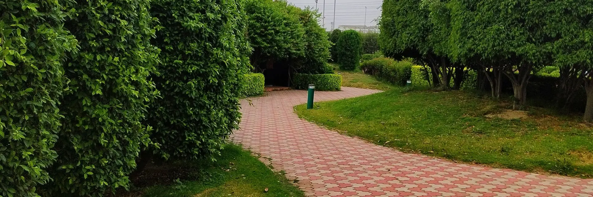 Lush green hedges and a manicured lawn along a landscaped garden path