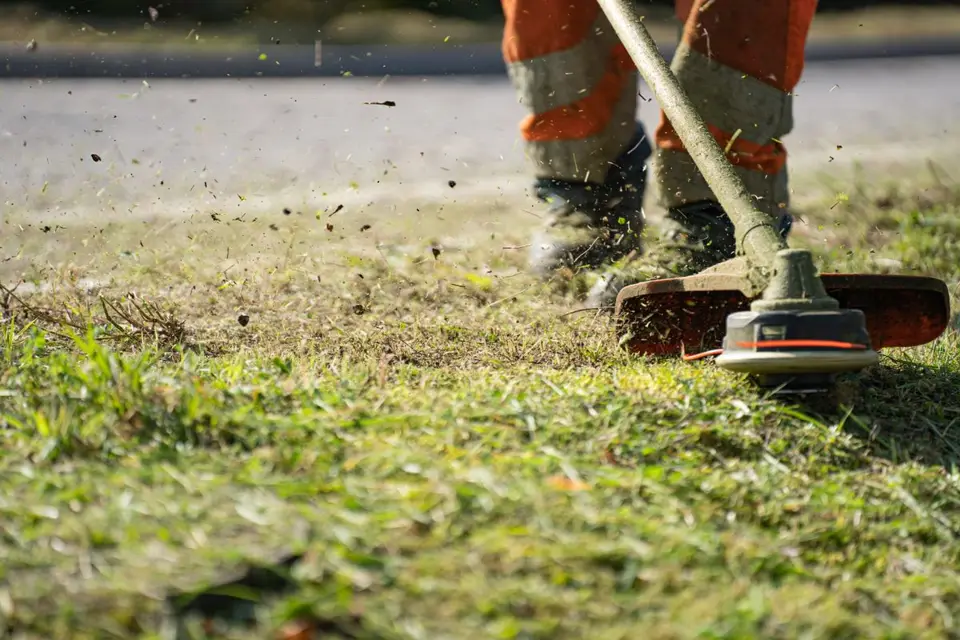 Landscaping Maintenance