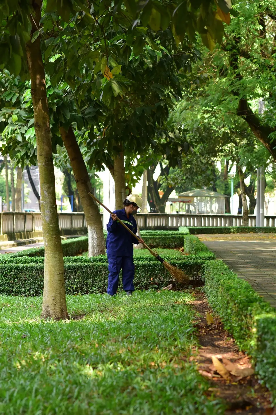 Leaf Removal