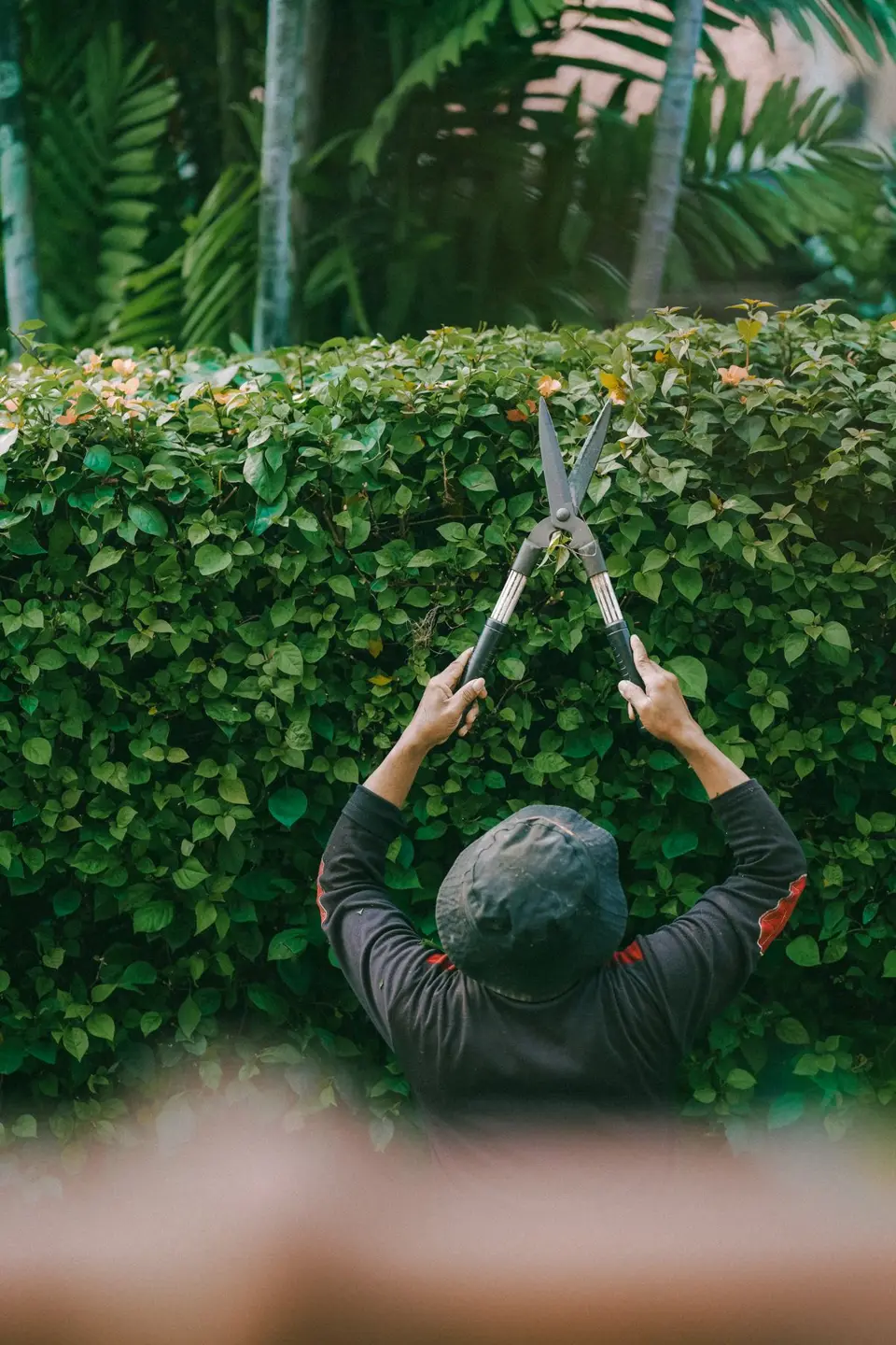 Trimming