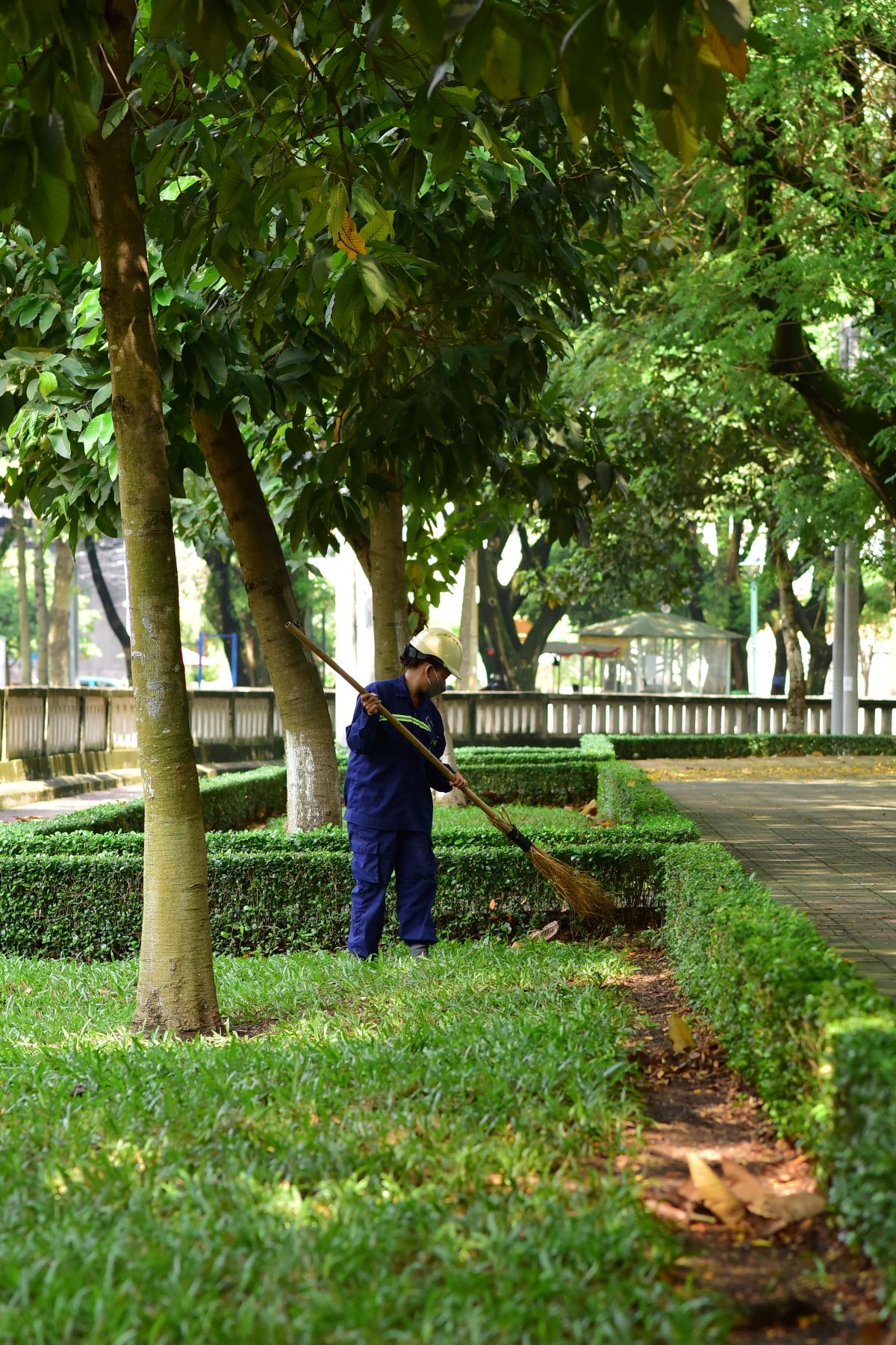 Leaf Removal