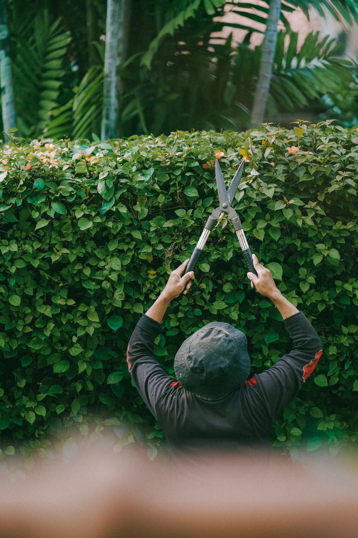 Trimming